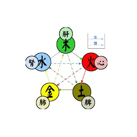 陽五行|五行(對萬事萬物的取象比類):簡介介紹,涵義解析,初始。